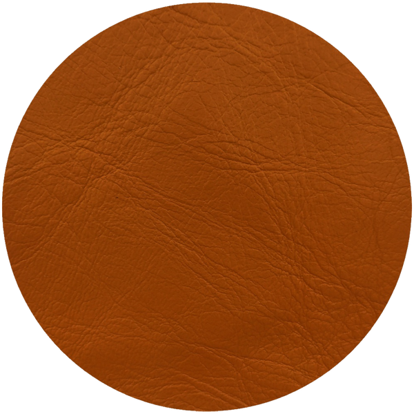 Leather Dye Paint Bridle.
