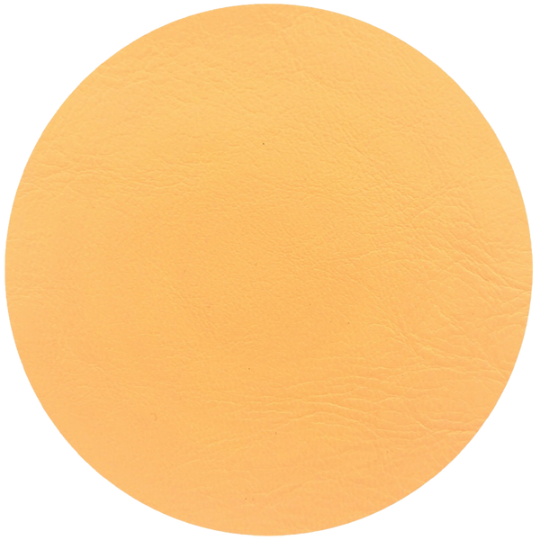 Leather Dye Paint Parchment.