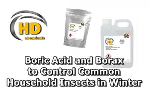 Boric Acid and Borax to Control Common Household Insects in Winter