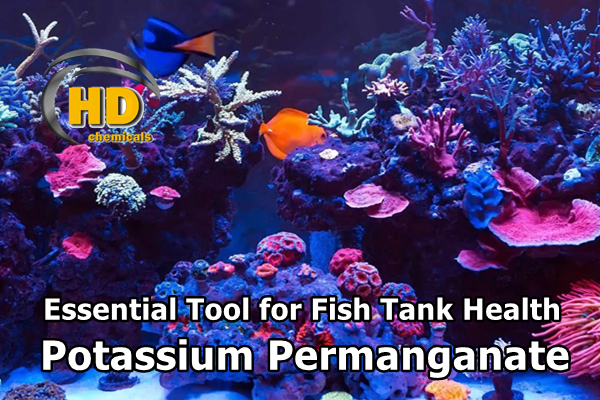 Potassium Permanganate: An Essential Tool for Fish Tank Health