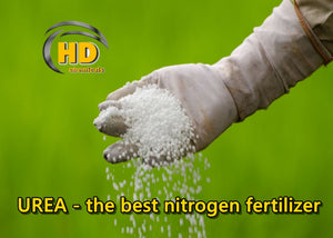 How to use Urea in the garden? Best Nitrogen Fertilizer
