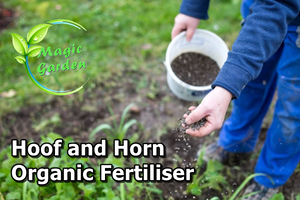 Hoof and Horn Organic Fertiliser