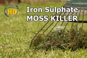 Iron Sulphate – best moss killer for your lawn