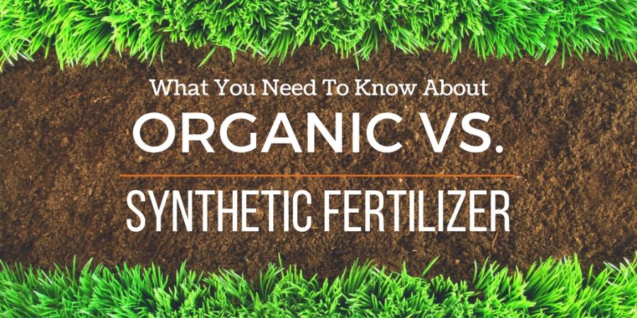 What you need to know about Organic vs Synthetic Fertilizers