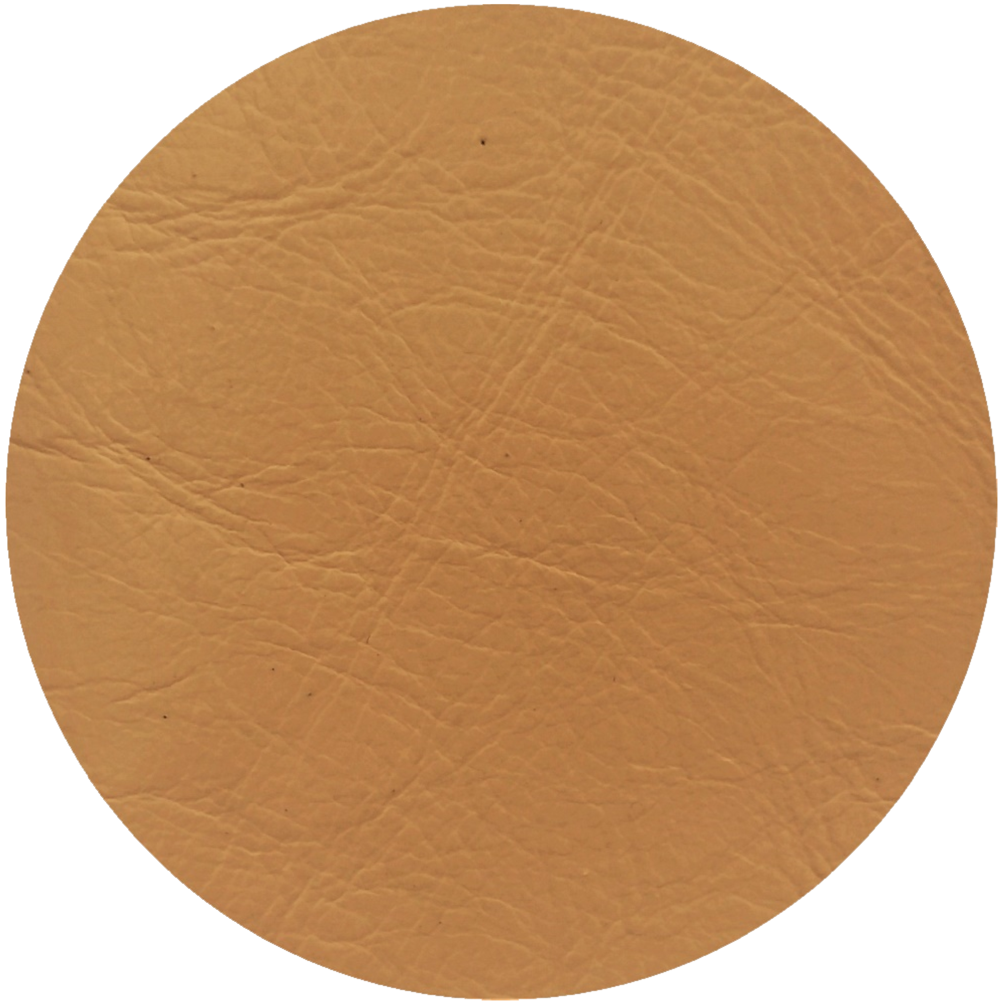 Beige 2025 leather paint